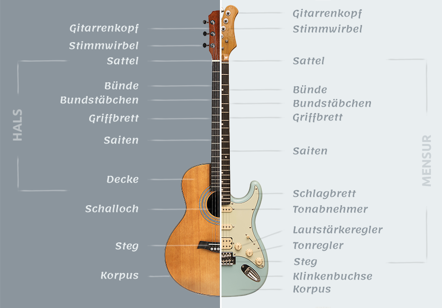 Aufbau einer Gitarre im Detail