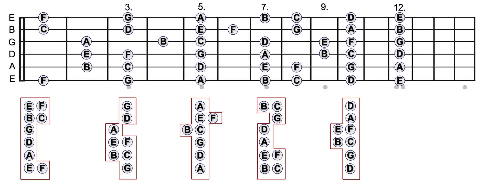 Griffbrettdiagramm mit Stammtönen in Block-Formen.