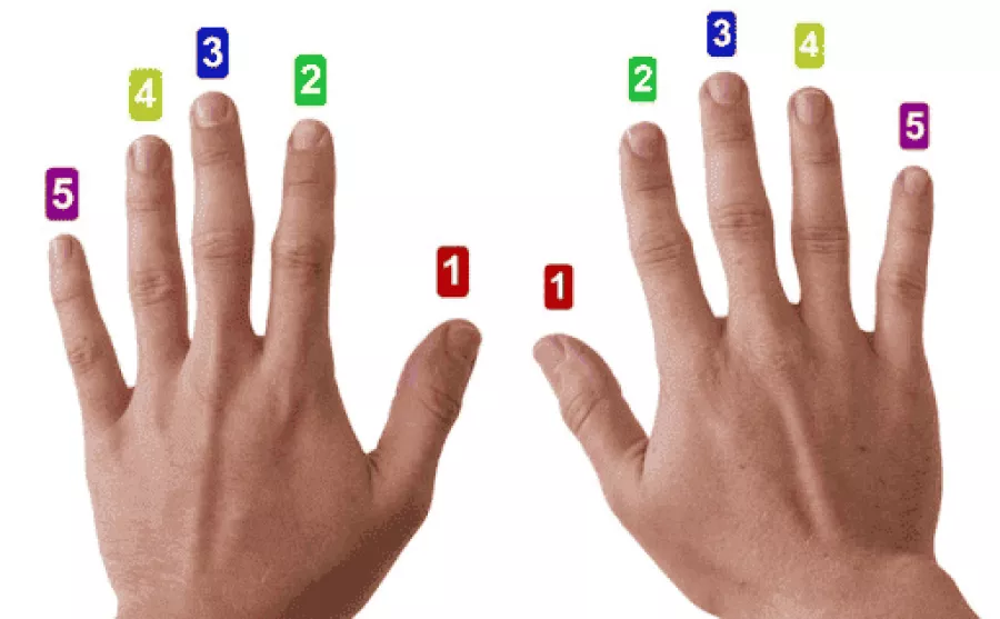 Zwei Hände - die Finger sind nummeriert