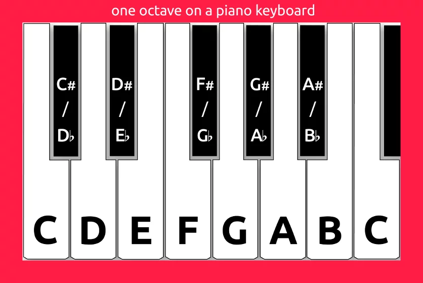 One octave on a piano keyboard